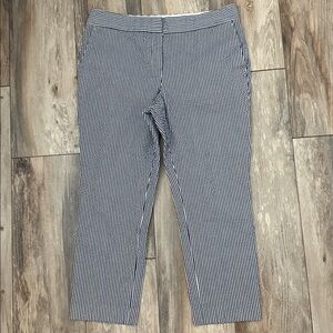 Ann Taylor Petite Navy and White Seersucker Striped Pants Devin Fit 10P